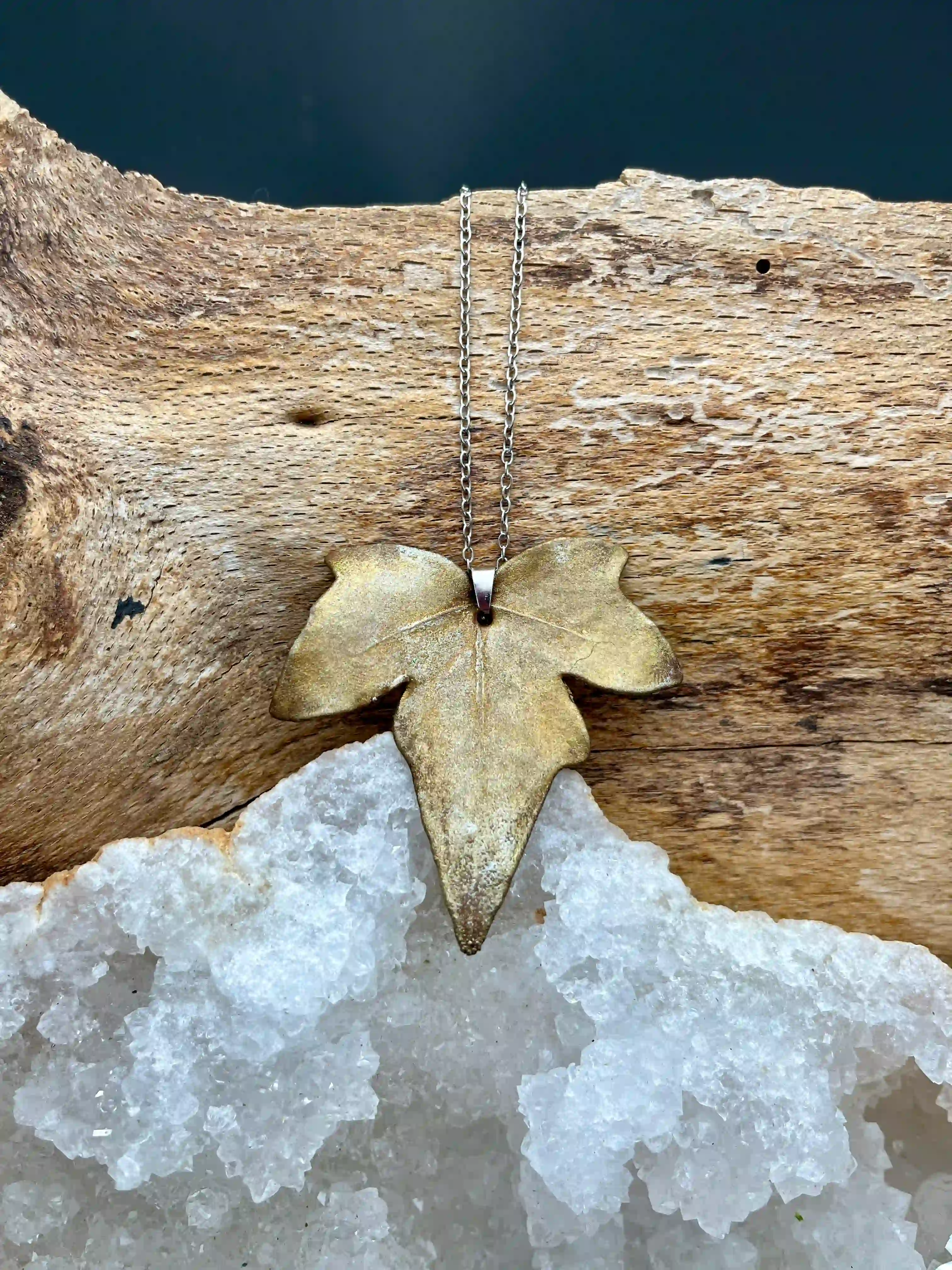 Břečťan náhrdelník (No1)