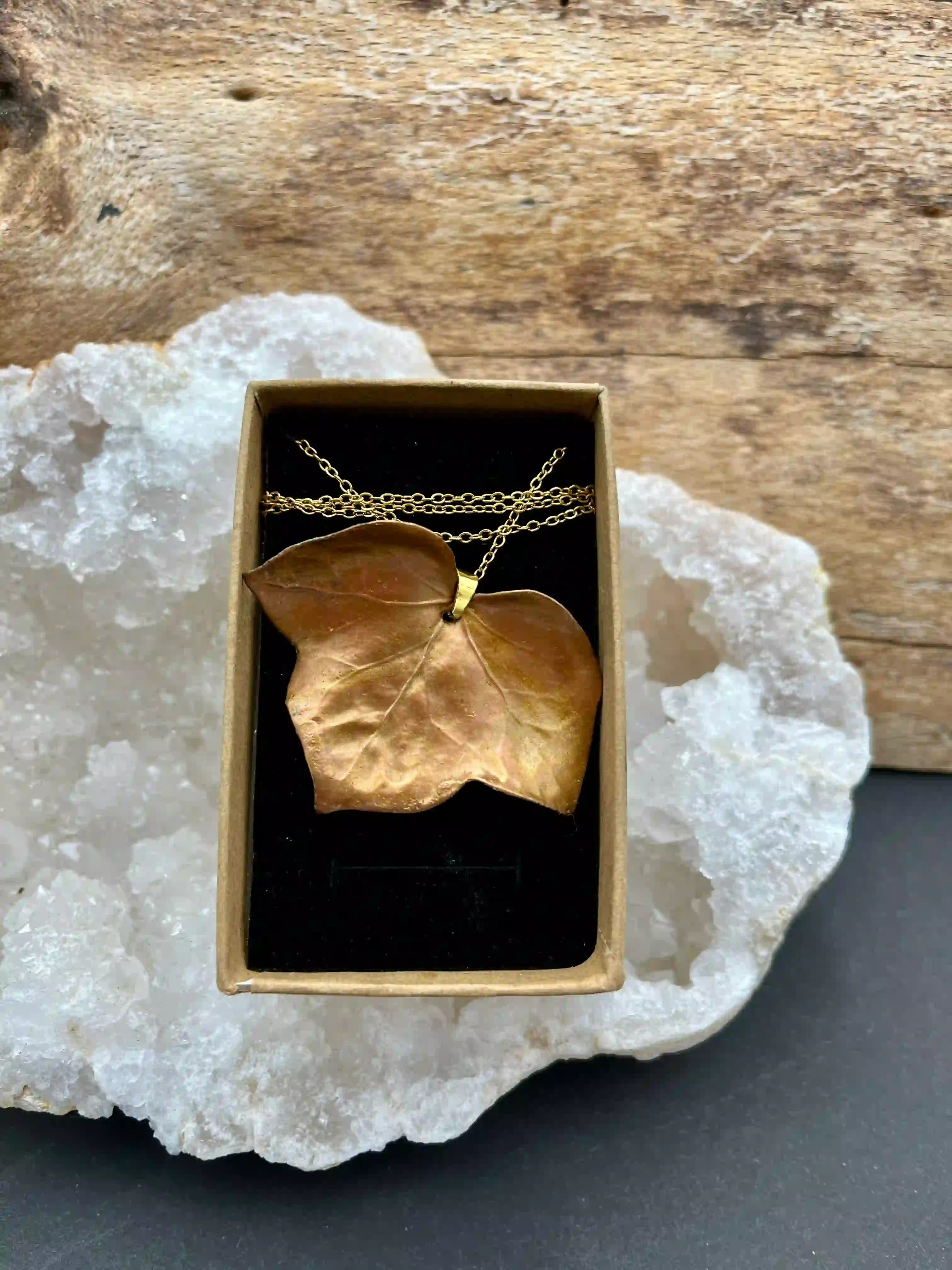 Břečťan náhrdelník (No3)