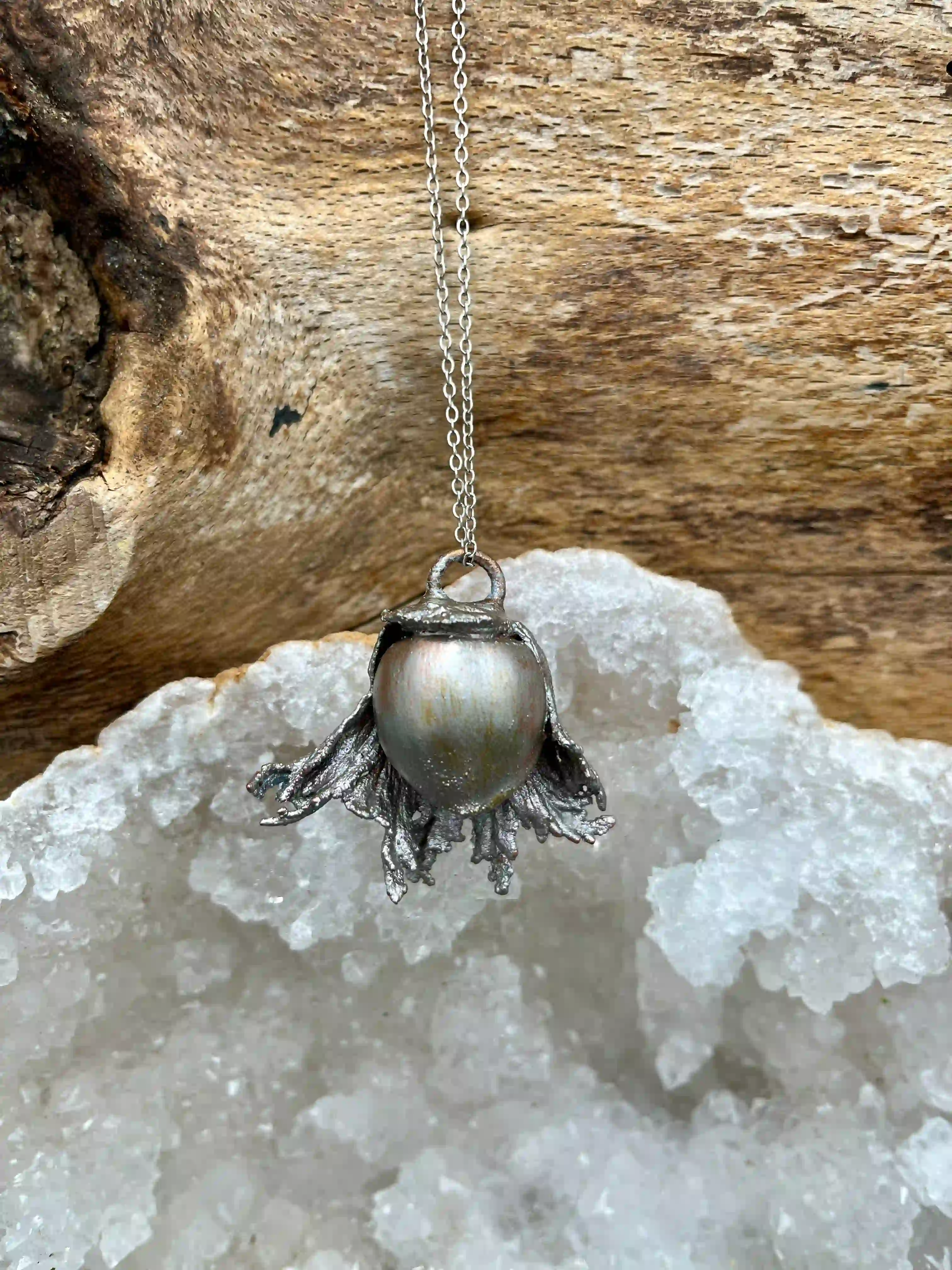 Lískový oříšek (No2)