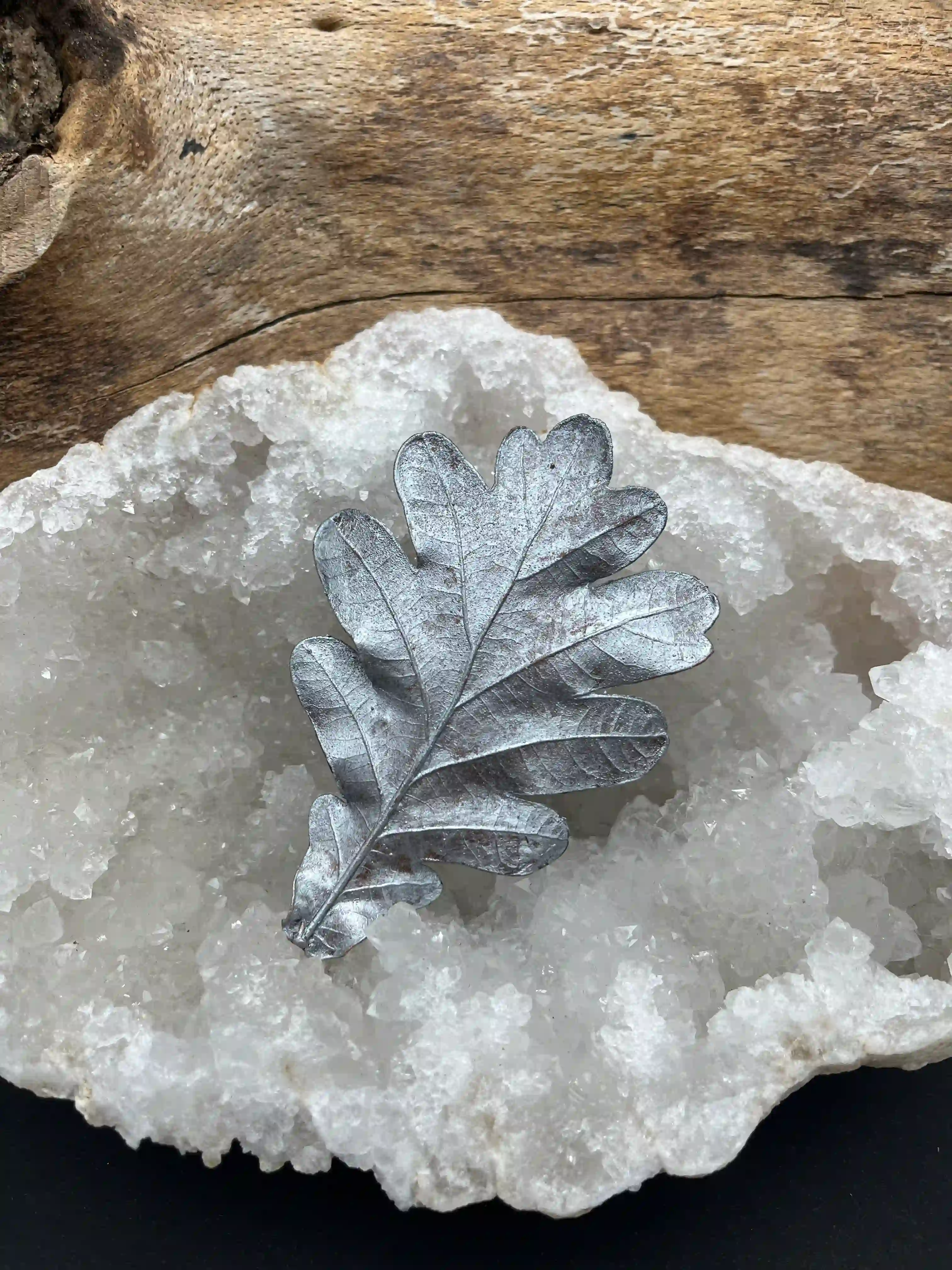 Dubový list - brož (No1)