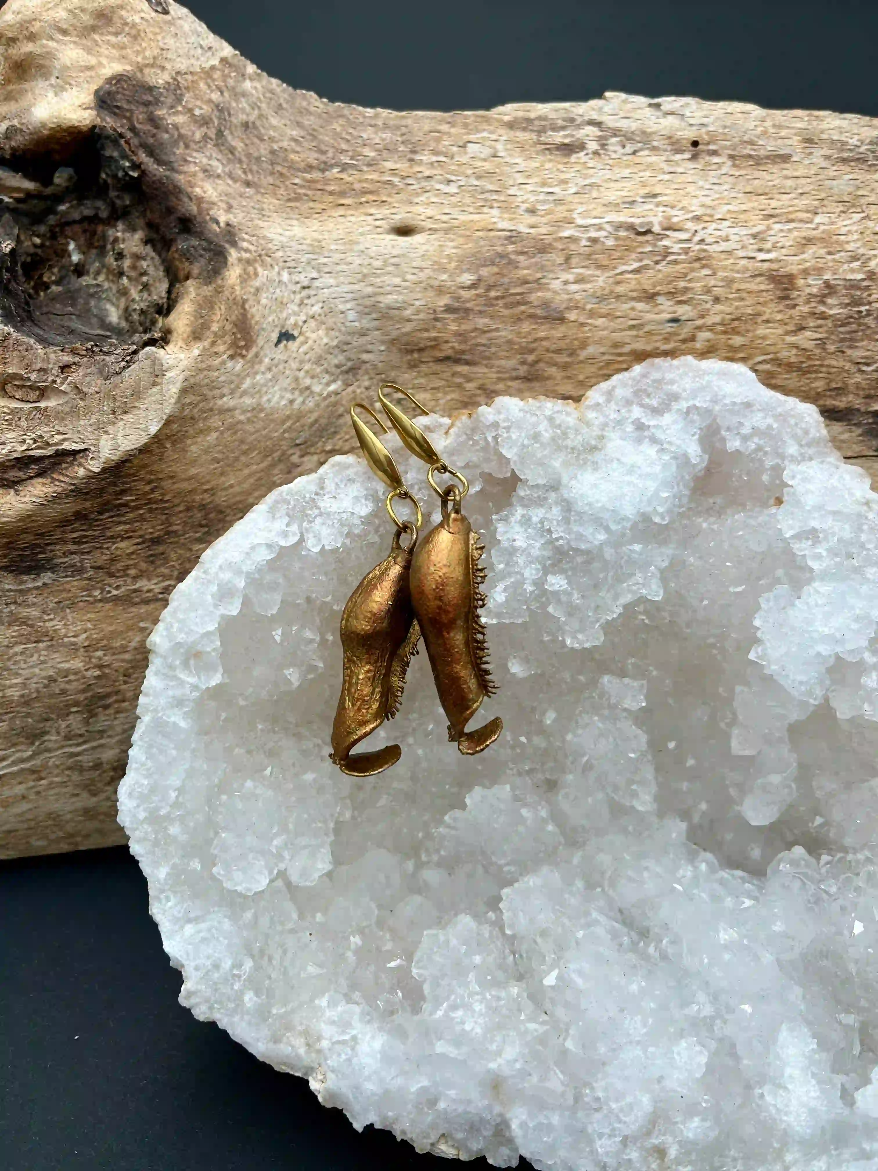 Masožravky náušnice (No1)