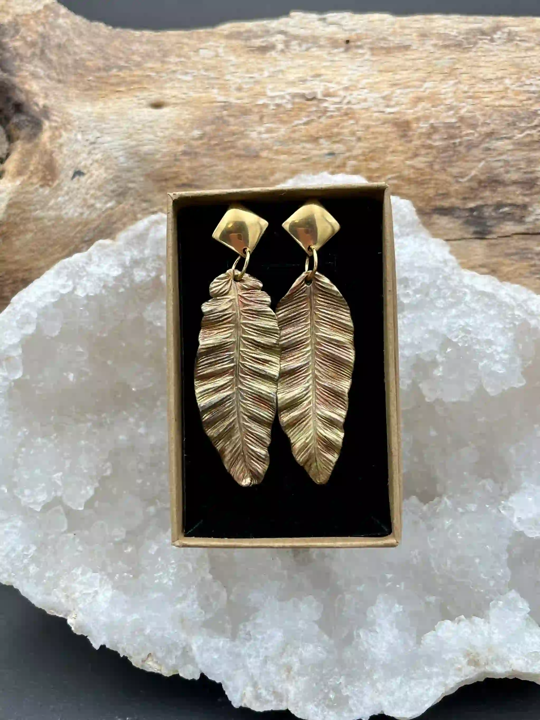 Kapradí náušnice (No5)