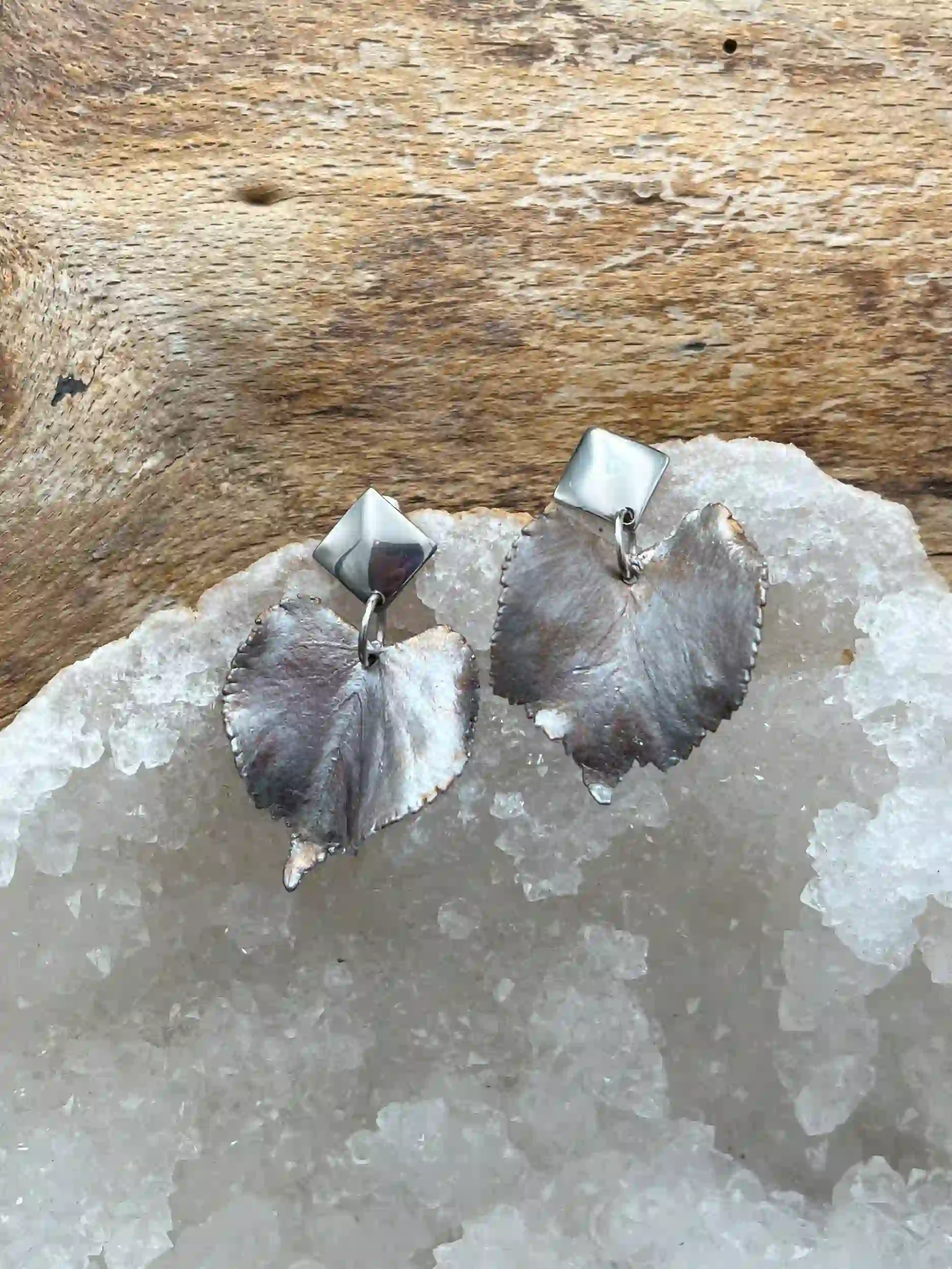 Lipové náušnice (No6)