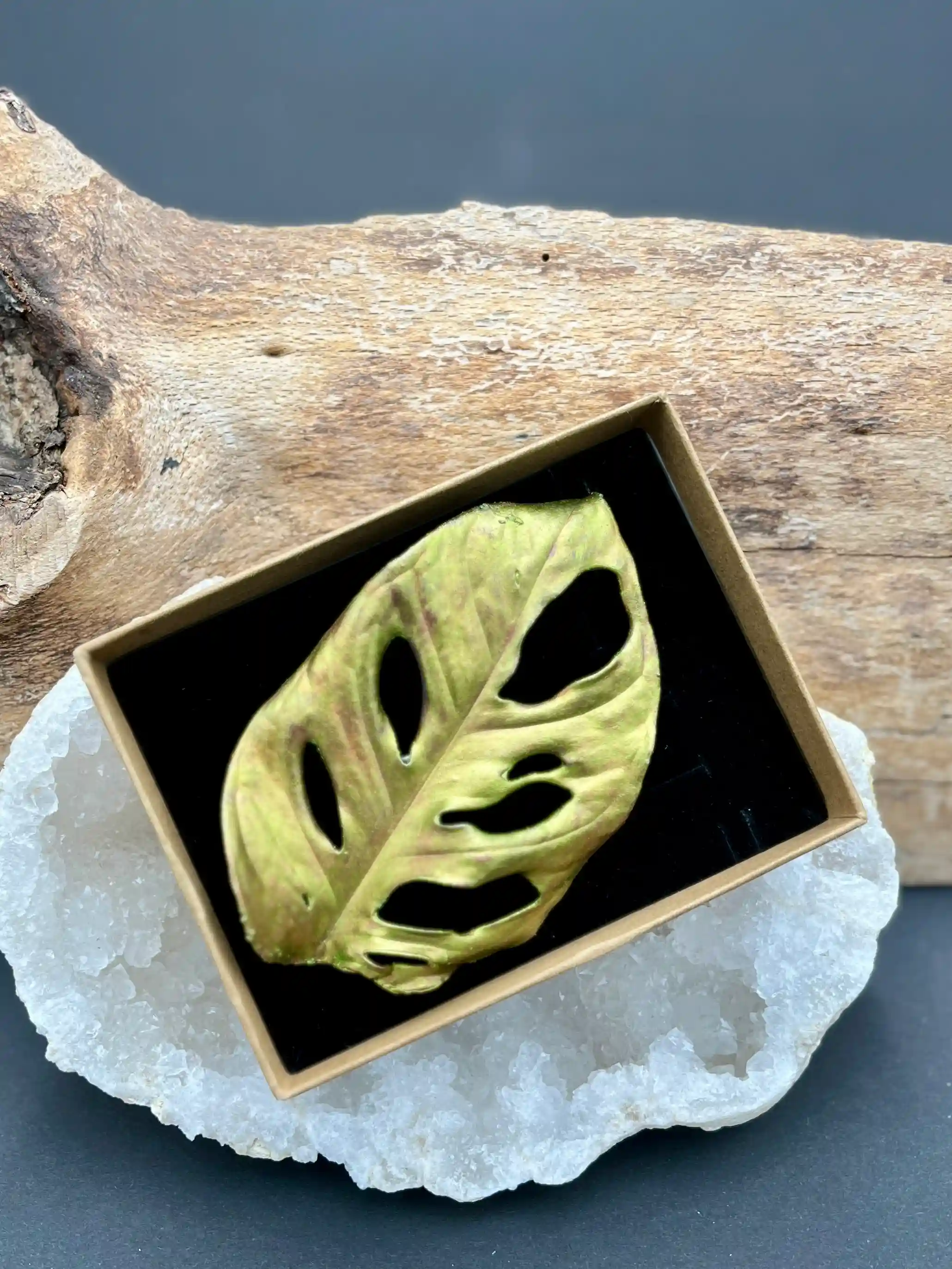 Monstera brož (No2)