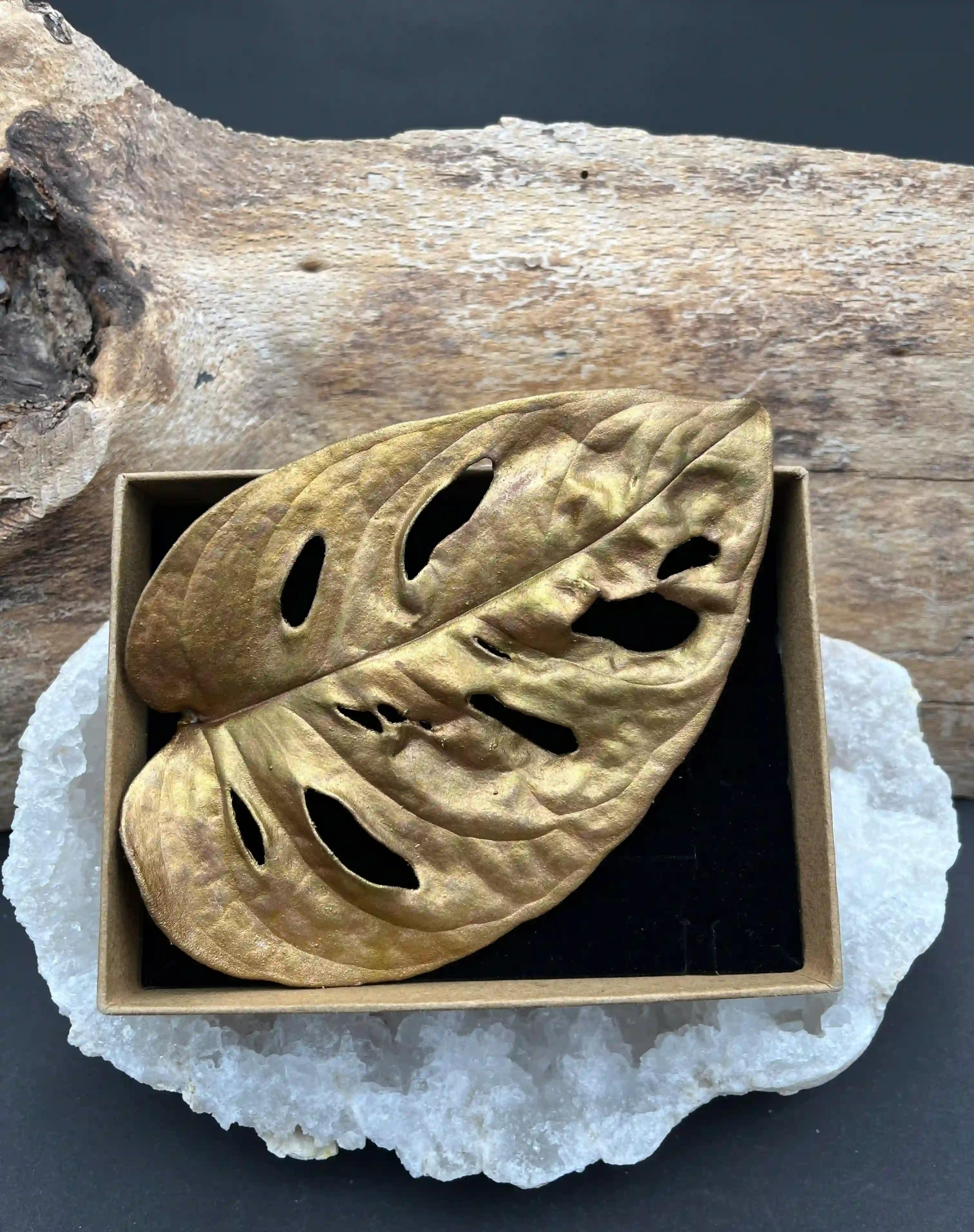 Monstera brož - extra velká (No1)