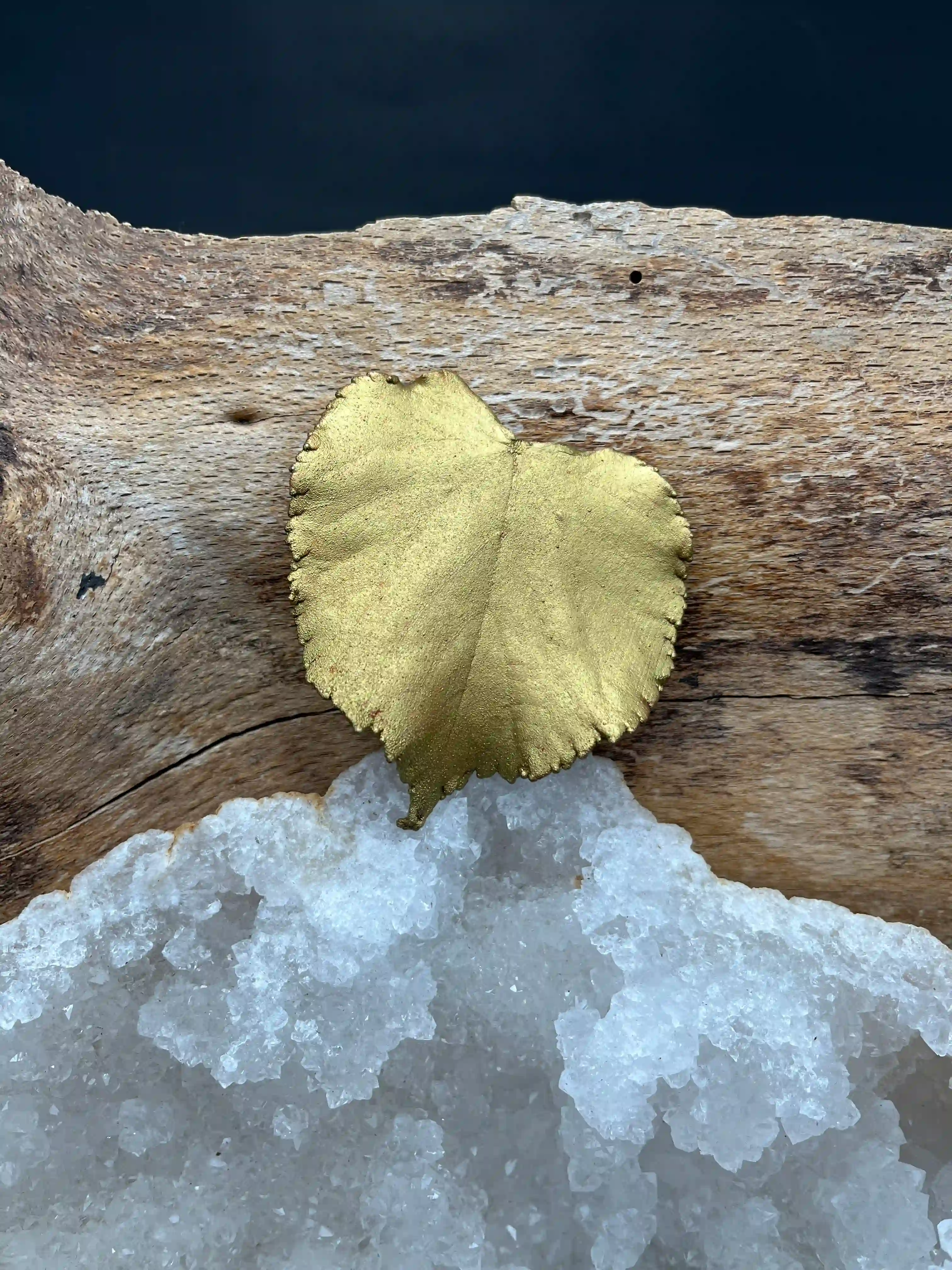 Lípa brož (No3)