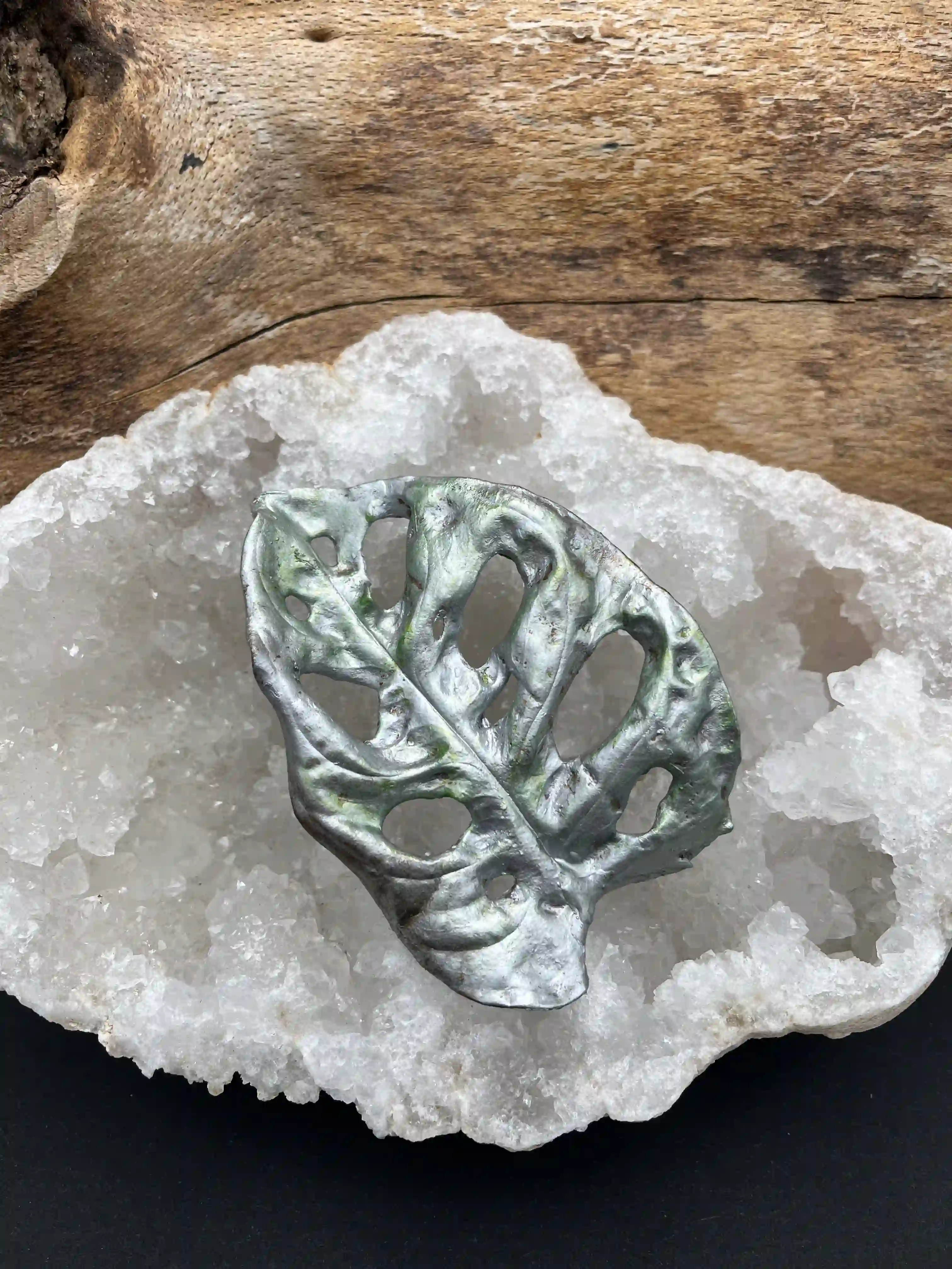 Monstera brož (No3)