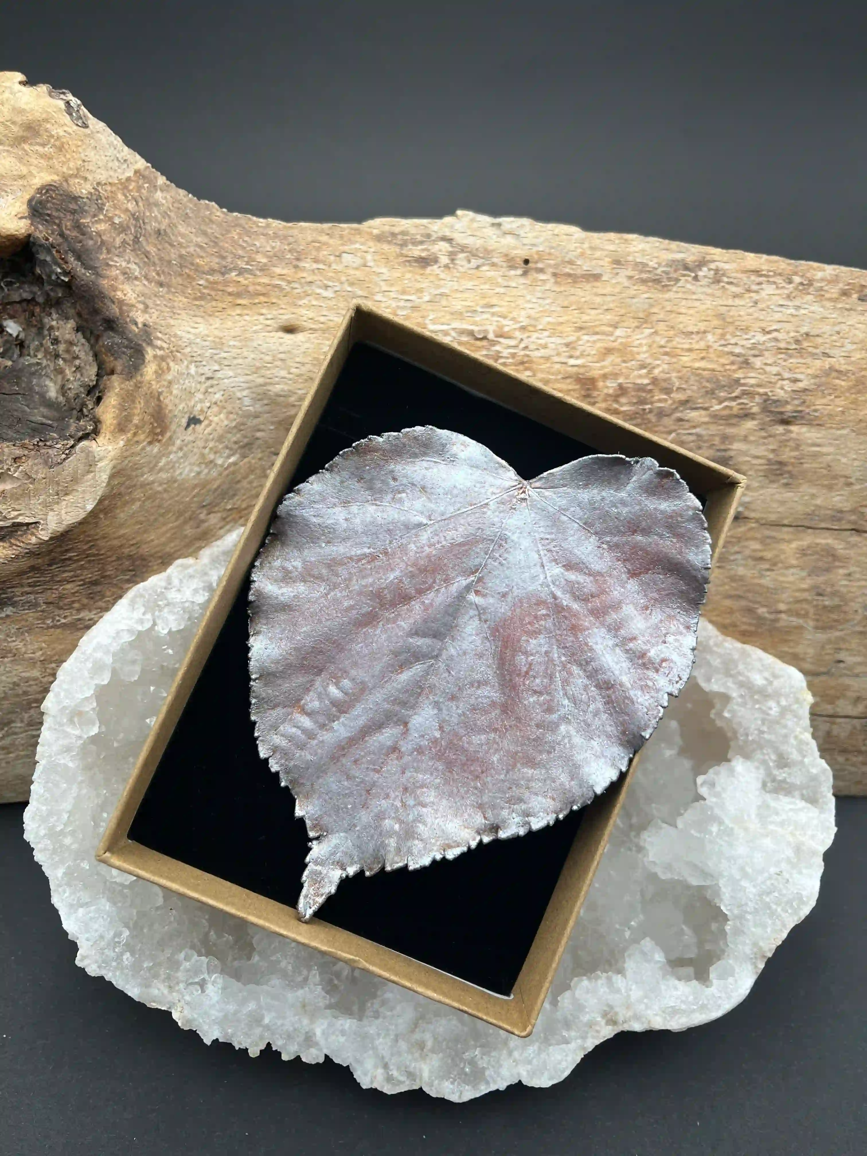 Lípa brož (No5) - extra velká