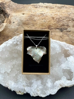 Břečťan náhrdelník (No9)