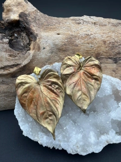 Filodendron náušnice - velké